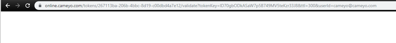 token-validate-2